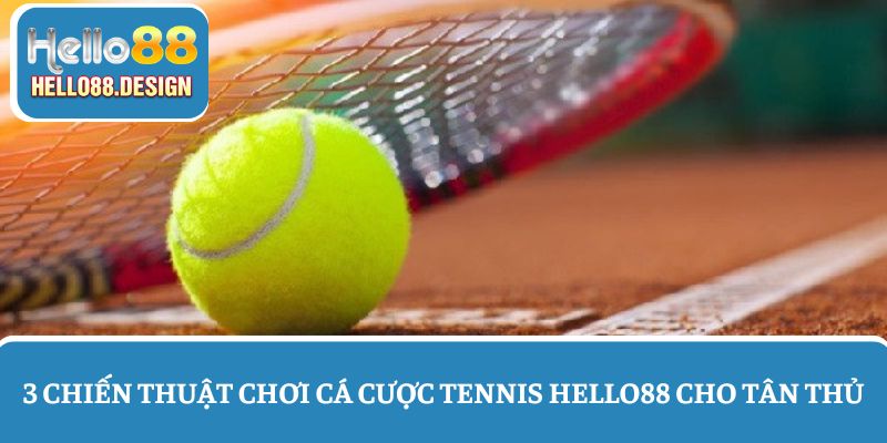 3 Chiến thuật chơi cá cược tennis thắng lớn cho tân thủ