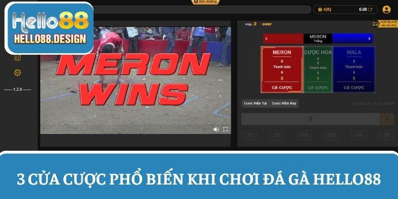 3 Cửa cược điển hình trong đá gà Hello88