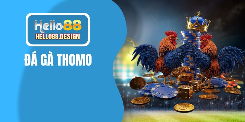 Đá gà Thomo