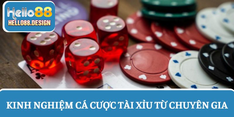 Áp dụng kinh nghiệm chơi hiệu quả từ chuyên gia 