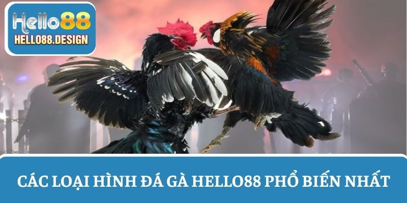 Các loại hình đá gà Hello88 phổ biến nhất hiện nay