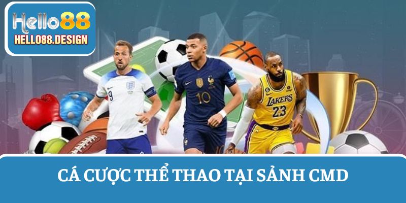 CMD là nhà cung cấp thể thao hàng đầu