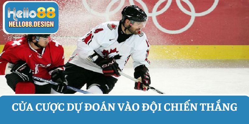 Cược khúc côn cầu đội thắng - Kèo cược cho người mới