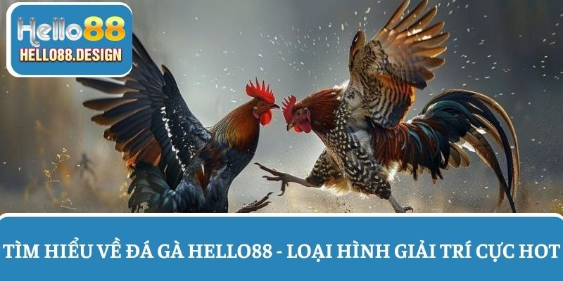 Đá gà Hello88 - Loại hình giải trí đắt khách nhất tại nhà cái