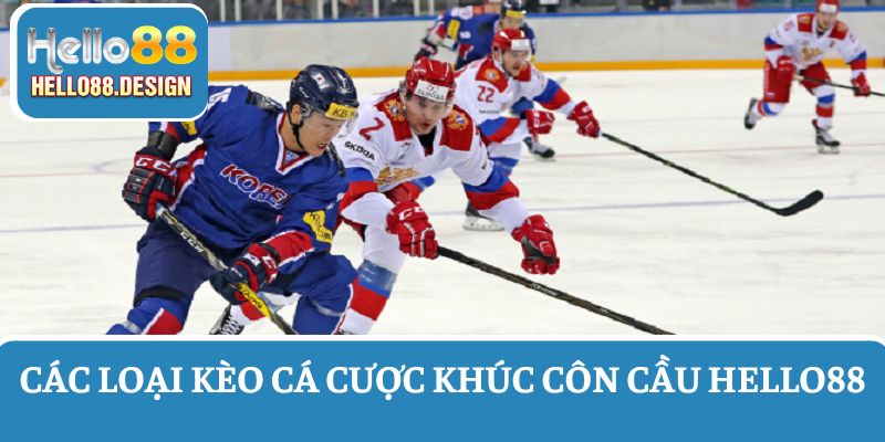 Giới thiệu tất tần tật các loại kèo cá cược khúc côn cầu