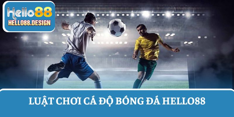 Hãy tìm hiểu luật chơi cá độ bóng đá trực tuyến trước khi cược