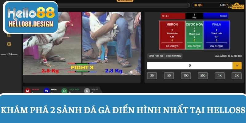 Khám phá 2 sảnh đá gà Hello88 phổ biến nhất