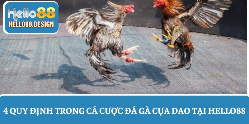 Một số quy định trong loại hình đá gà cựa dao online