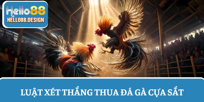 Quy tắc để phân loại những con chiến kê thắng thua