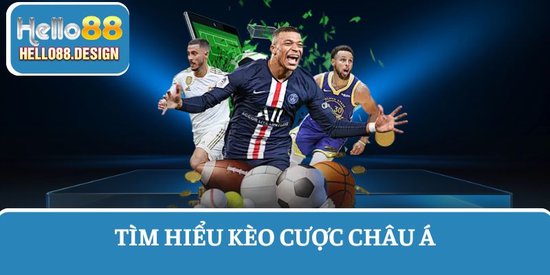 Tìm hiểu chi tiết về cá kèo châu Á khi cá cược bóng đá